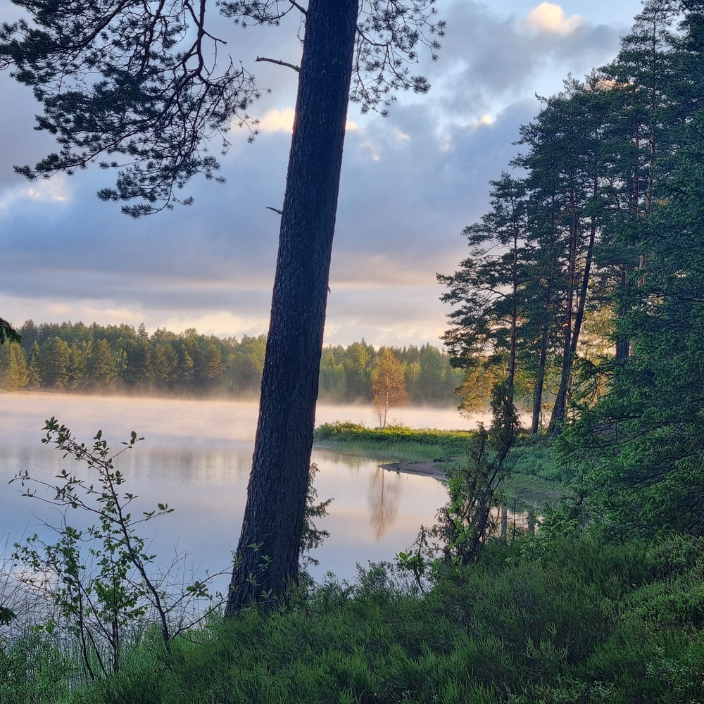  Hok, Naturcamping: Rolstorpasjön 