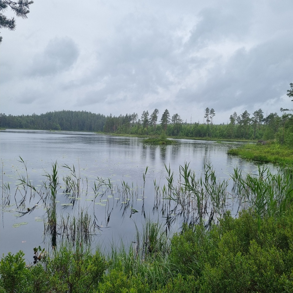  Tiveden, Naturcamping: Södra trehörningen 
