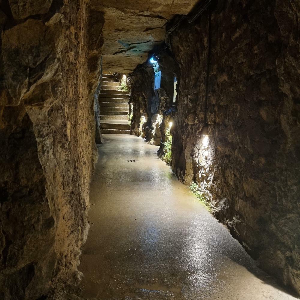  Hesperange, Campingplats: Camping Alzingen 