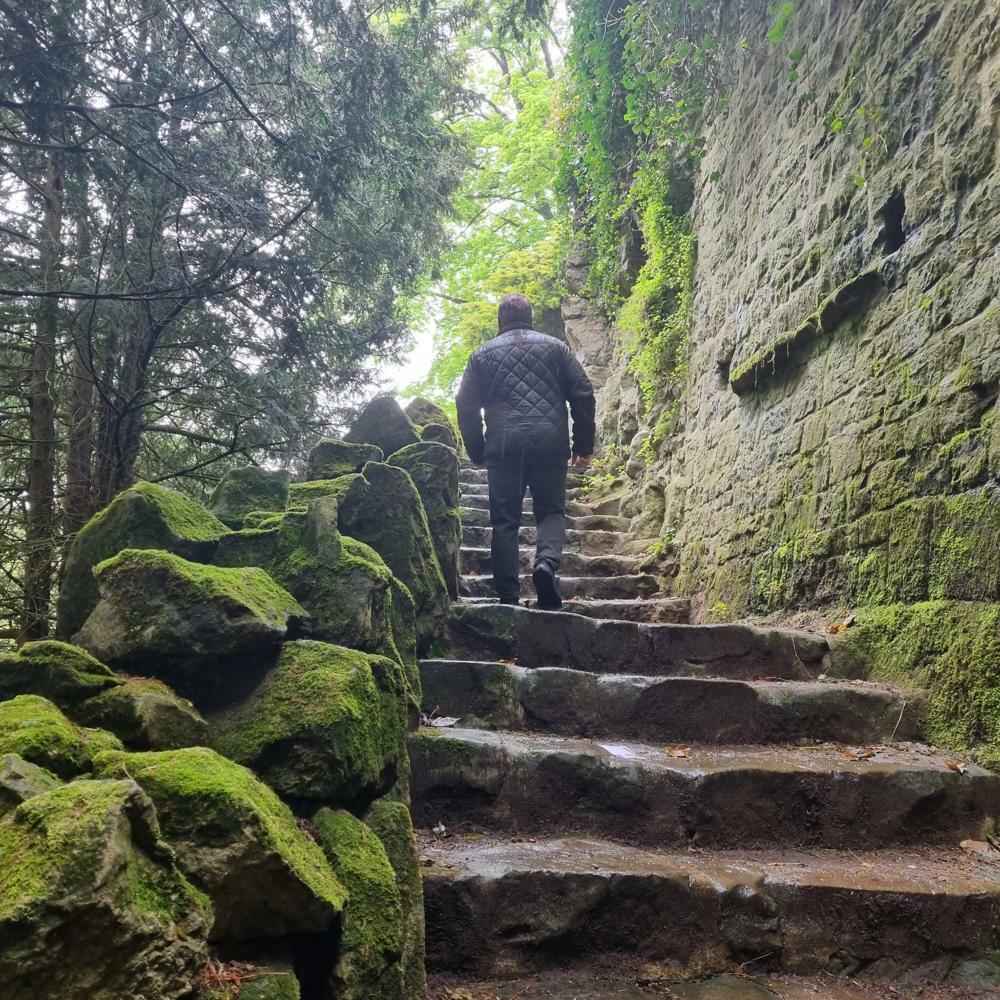  Hesperange, Campingplats: Camping Alzingen 