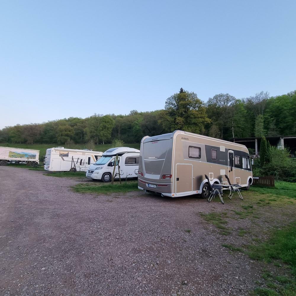  Trier, Vingård (ställplats): G.F von Nell 