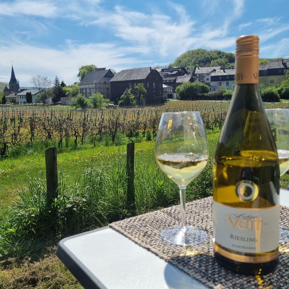  Neumagen-Dhron , Ställplats: Schönes Dhrontal (WoMo-Stellplatz & Bistro) 