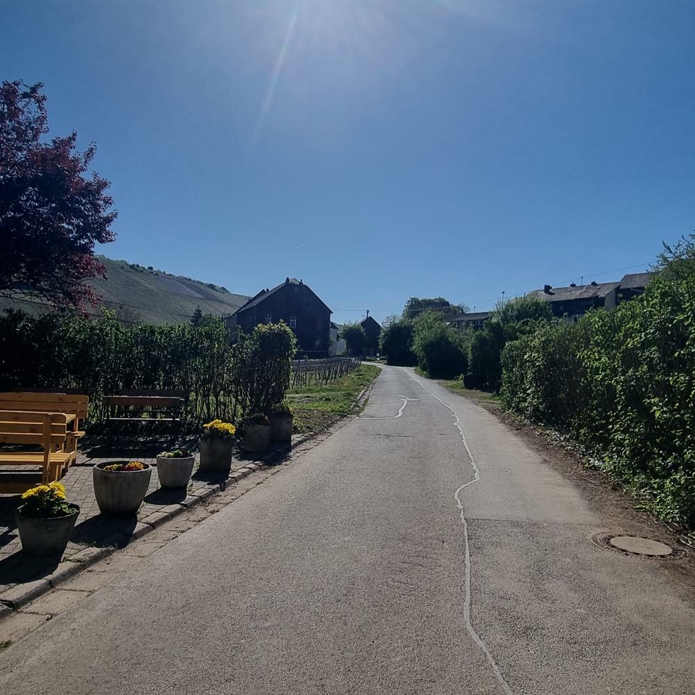  Neumagen-Dhron, Ställplats: Schönes Dhrontal (WoMo-Stellplatz & Bistro) 