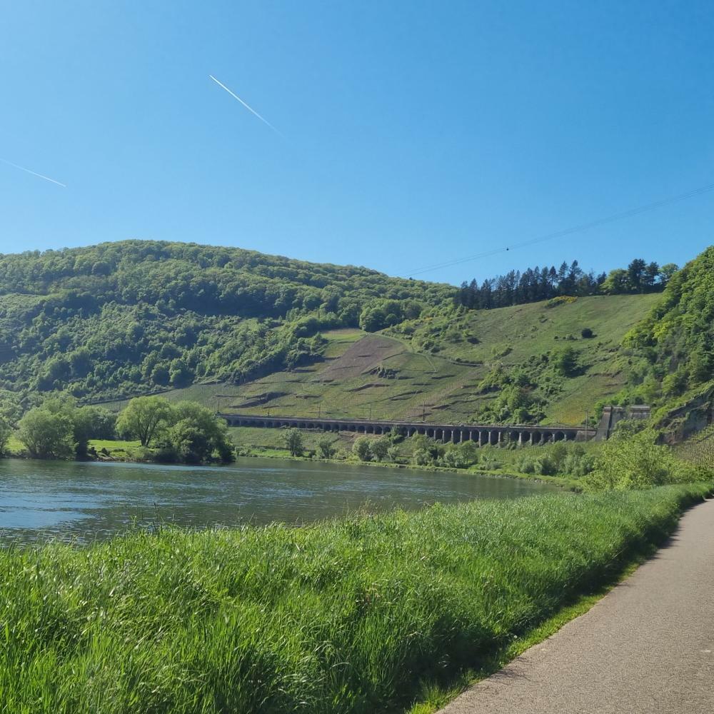  Reil , Ställplats: Wohnmobilstellplatz Reil 