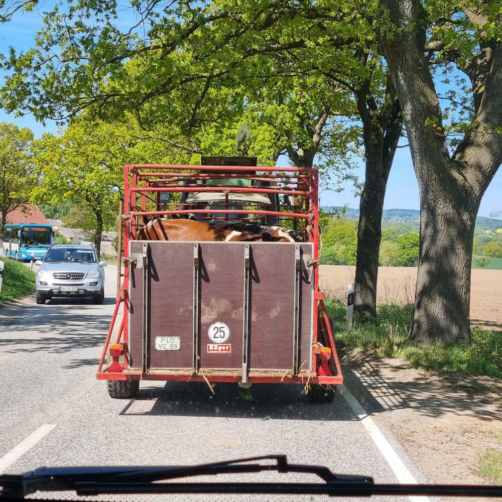 Kiel, Nattfärja Stena Germanica 