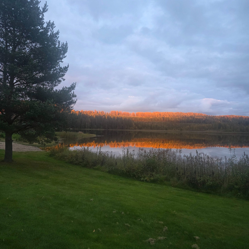  Saxdalen, Ställplats: Café & Dé  