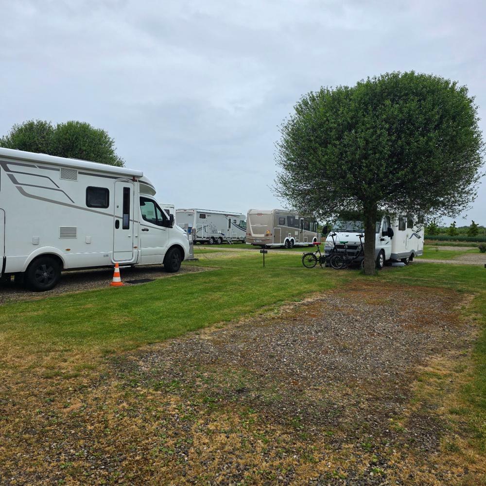  Endingen , Ställplats: Wohnmobilgarten am Kirschenhof 