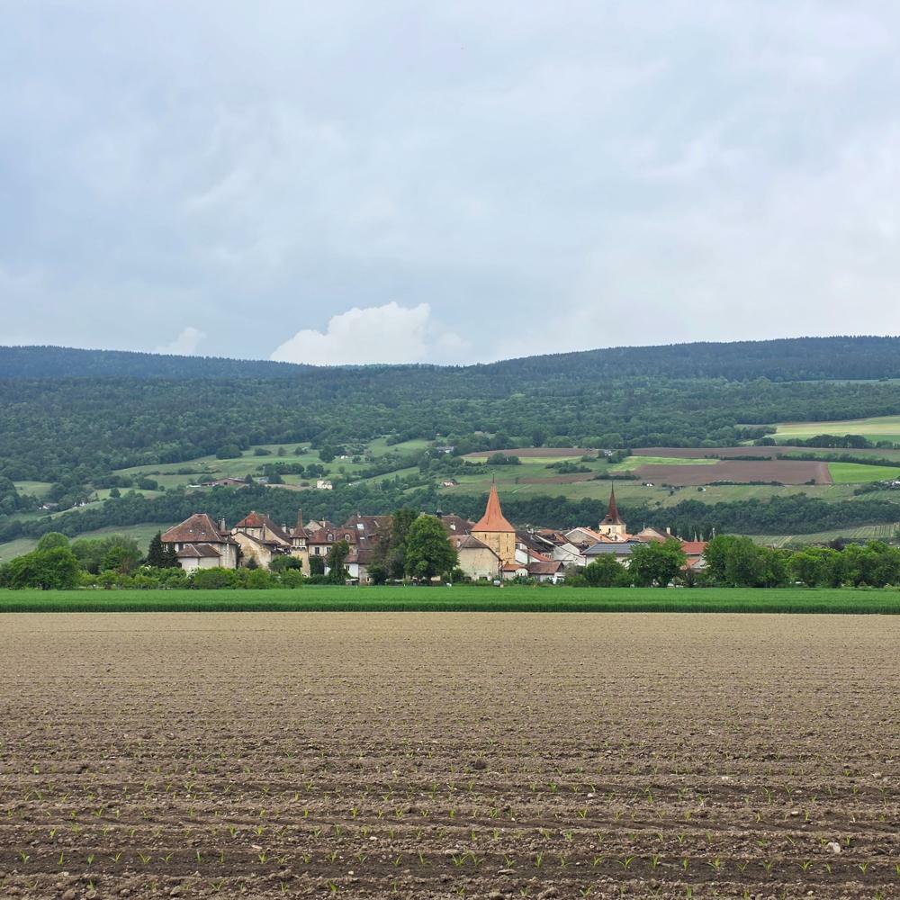  Le Landeron, Campingplats: Camping des Pêches 